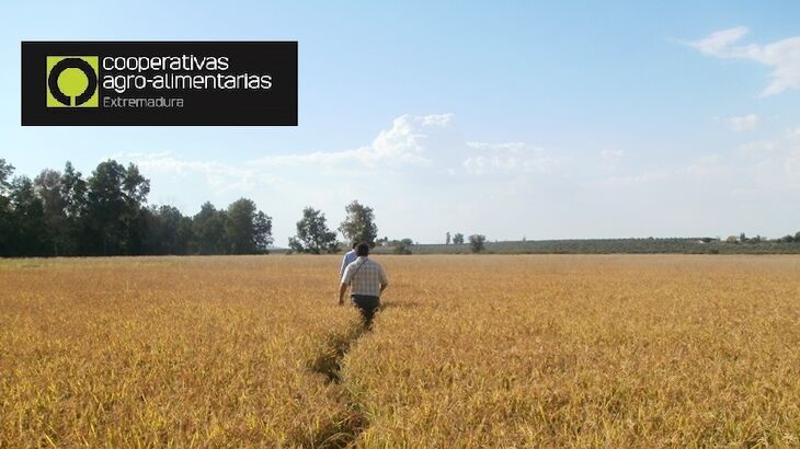 La inestabilidad meteorolgica define el ao agrario 2020