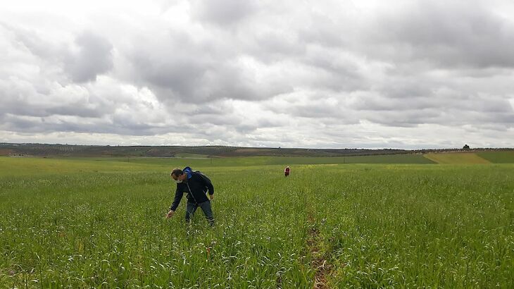 Campaa agrcola ante adversidades meteorolgicas