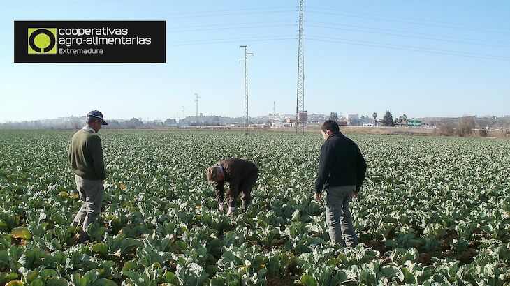 Mejorando los seguros agrarios