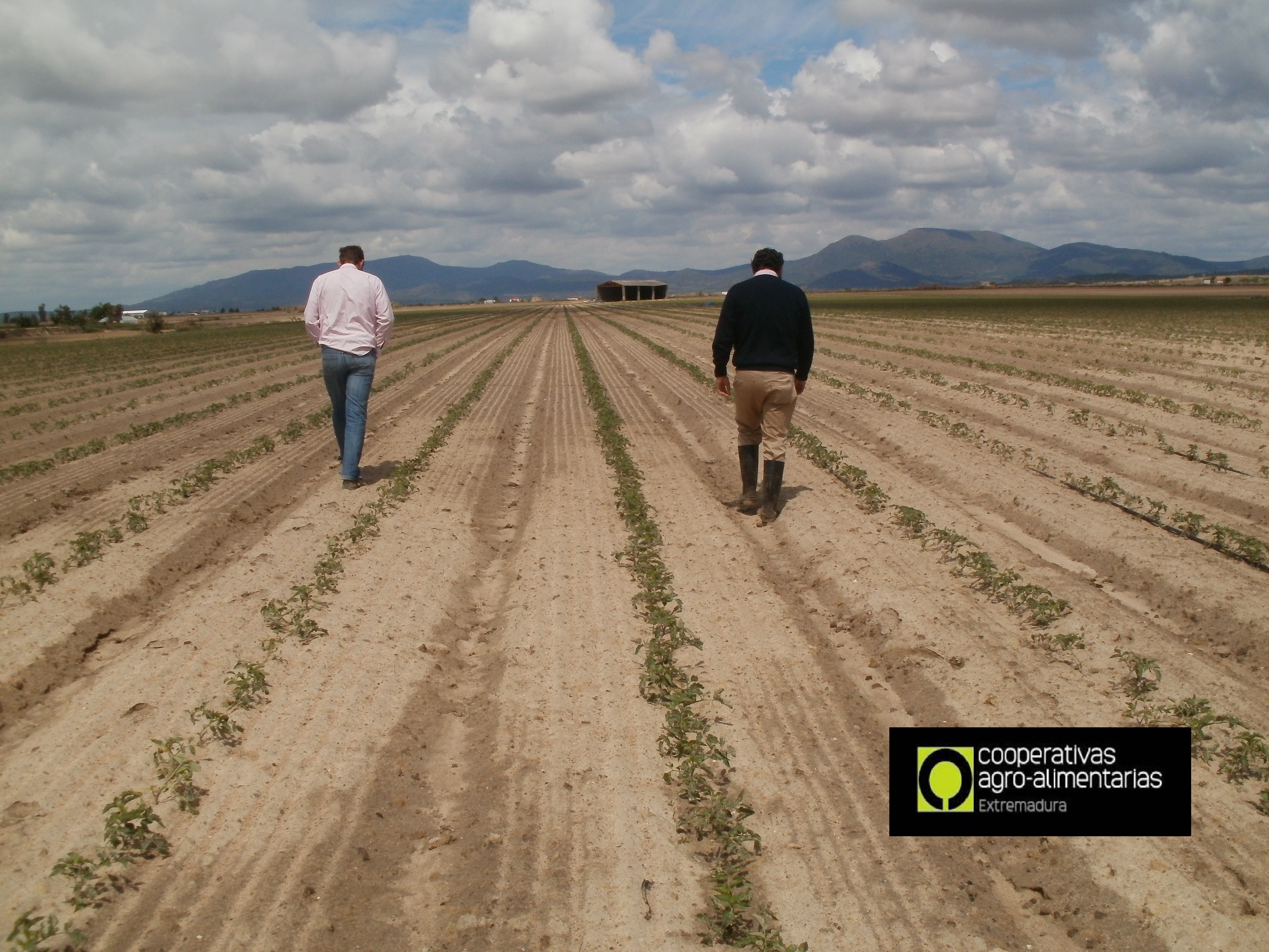 Mejorando los seguros agrarios